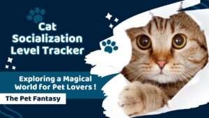 Cat Socialization Level Tracker