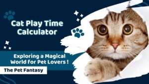 Cat Play Time Calculator