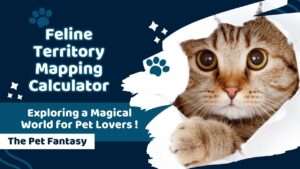 Feline Territory Mapping Calculator