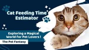 Cat Feeding Time Estimator