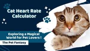Cat Heart Rate Calculator