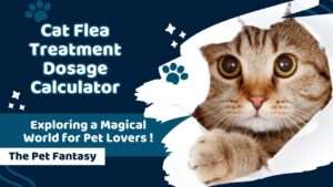 Cat Flea Treatment Dosage Calculator