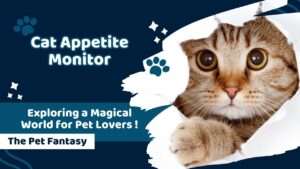 Cat Appetite Monitor