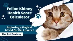 Feline Kidney Health Score Calculator
