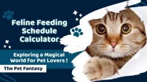 Feline Feeding Schedule Calculator