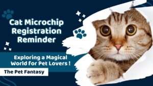 Cat Microchip Registration Reminder
