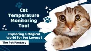 Cat Temperature Monitoring Tool
