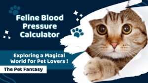 Feline Blood Pressure Calculator