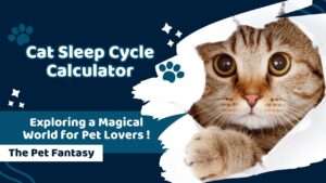 Cat Sleep Cycle Calculator