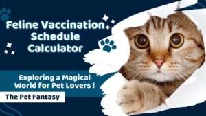Feline Vaccination Schedule Calculator