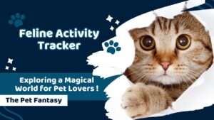 Feline Activity Tracker