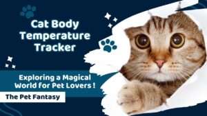 Cat Body Temperature Tracker