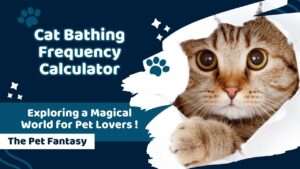 Cat Bathing Frequency Calculator
