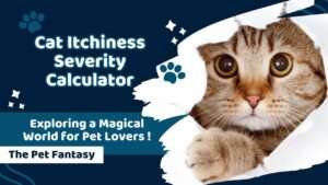 Cat Itchiness Severity Calculator
