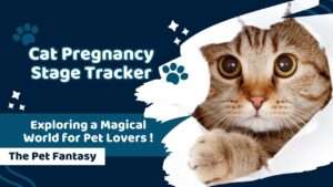 Cat Pregnancy Stage Tracker