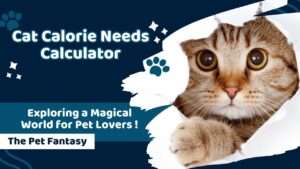 Cat Calorie Needs Calculator