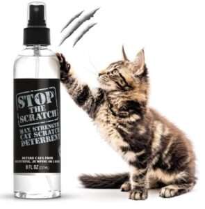 Emmy's Best EBPP Stop The Scratch Cat Spray Deterrent for Kittens and Cats - Non-Toxic, Safe for Plants, Furniture, Floors and More Cat Deterrent Spray with Rosemary Oil

