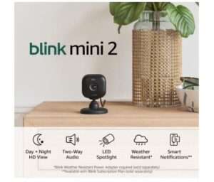 Blink Mini 2 (Newest Model) — Home Security & Pet Camera(s) with HD video, color night view, motion detection, two-way audio, and built-in spotlight — 1 camera (Black) 