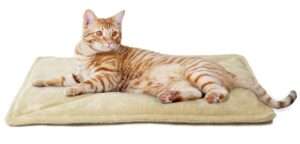 Furhaven ThermaNAP Self-Warming Cat Bed for Indoor Cats & Small Dogs, Washable & Reflects Body Heat - Quilted Faux Fur Reflective Bed Mat - Cream, Small 