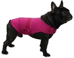cattamao Comfort Dog Anxiety Relief Coat, Dog Anxiety Calming Vest Wrap for Thunderstorm,Travel,4th of July Fireworks,Vet Visits,Separation (M,Rose) 