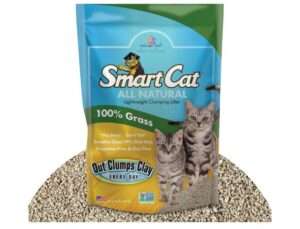 SmartCat All Natural Clumping Cat Litter, 20 Pound (320oz 1 pack) - Alternative to Clay and Pellet Litter - Chemical and 99% Dust Free - Unscented and Lightweight 