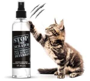 Emmy's Best EBPP Stop The Scratch Cat Spray Deterrent for Kittens and Cats - Non-Toxic, Safe for Plants, Furniture, Floors and More Cat Deterrent Spray with Rosemary Oil 
