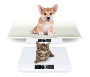 Greater Goods Digital Pet Scale, Accurately Weigh Your Kitten, Rabbit, or Puppy with a Wiggle-Proof Algorithm, Great Option as a Scale for Small Animals, Designed in St. Louis 