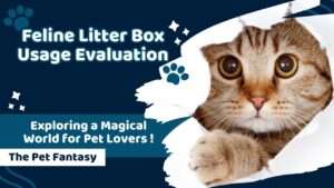 Feline Litter Box Usage Evaluation