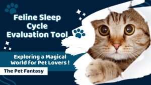 Feline Sleep Cycle Evaluation Tool