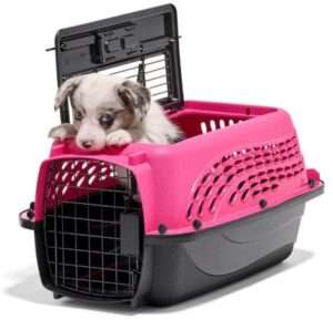 Petmate Two Door Pet Kennel for Pets up to 15 Pounds, Pink/Black, 19" Long
