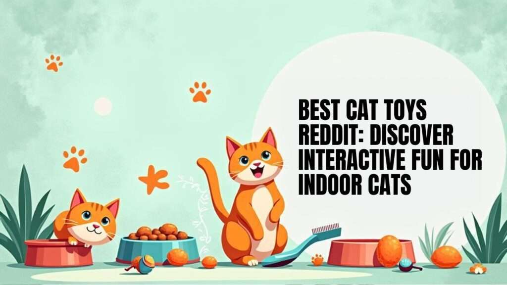 Best Cat Toys Reddit