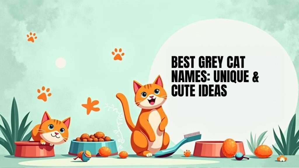 best grey cat names